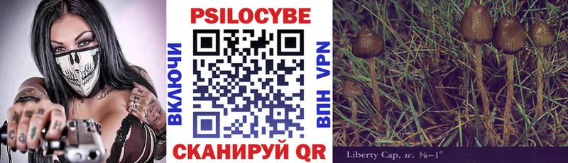 omg как зайти  Сольцы  Галлюциногенные грибы мухоморы 